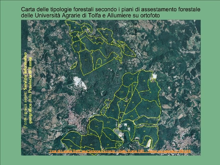 (Fonte ripresa aerea: Servizio Informativo geografico della Provincia di Roma) *Tesi di Laurea Dott.