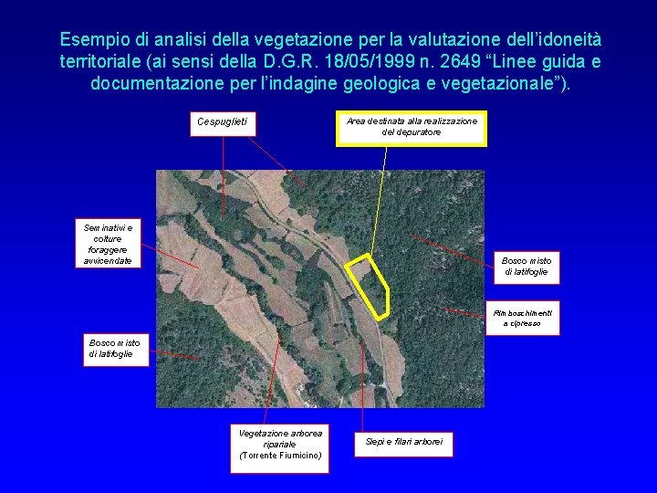 Esempio di analisi della vegetazione per la valutazione dell’idoneità territoriale (ai sensi della D.