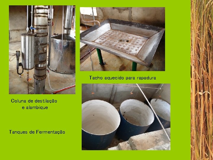Tacho aquecido para rapadura Coluna de destilação e alambique Tanques de Fermentação 