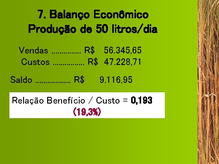 7. Balanço Econômico Produção de 50 litros/dia Vendas. . . . R$ 56. 345,