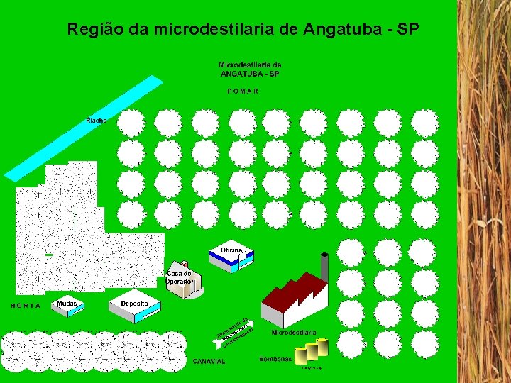 Região da microdestilaria de Angatuba - SP 