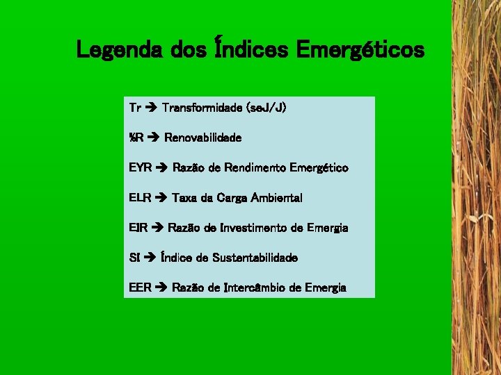 Legenda dos Índices Emergéticos Tr Transformidade (se. J/J) %R Renovabilidade EYR Razão de Rendimento