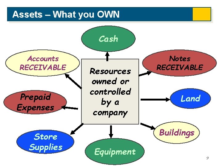 Assets – What you OWN Cash Accounts RECEIVABLE Prepaid Expenses Store Supplies Resources owned