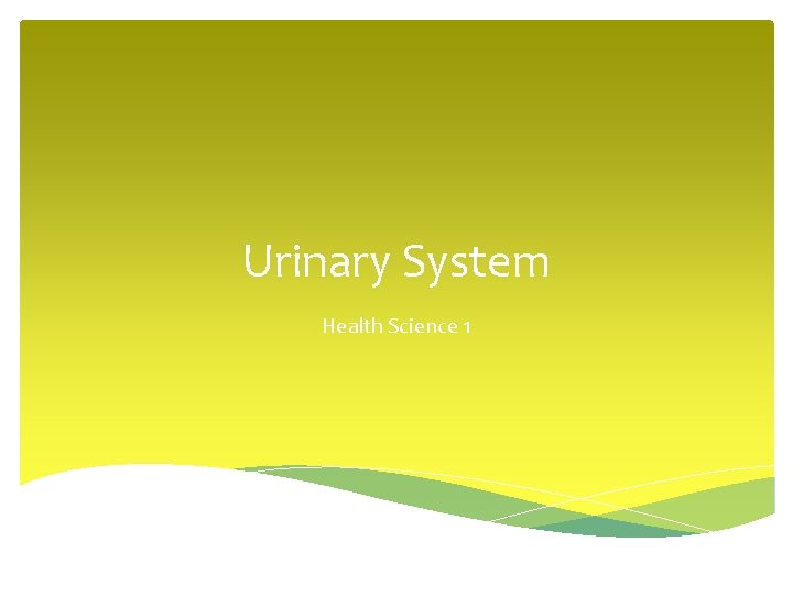 Urinary System Health Science 1 