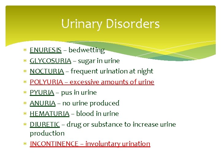 Urinary Disorders ENURESIS – bedwetting GLYCOSURIA – sugar in urine NOCTURIA – frequent urination