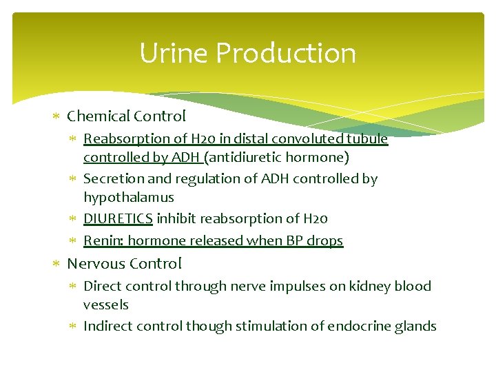 Urine Production Chemical Control Reabsorption of H 20 in distal convoluted tubule controlled by