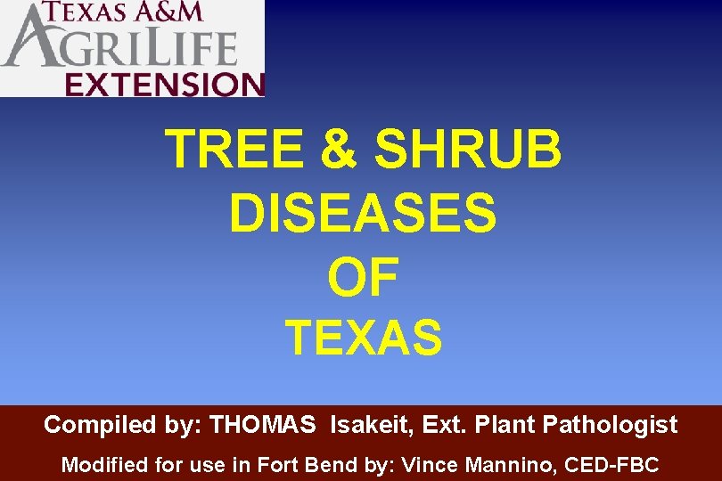 TREE & SHRUB DISEASES OF TEXAS Compiled by: THOMAS Isakeit, Ext. Plant Pathologist Modified