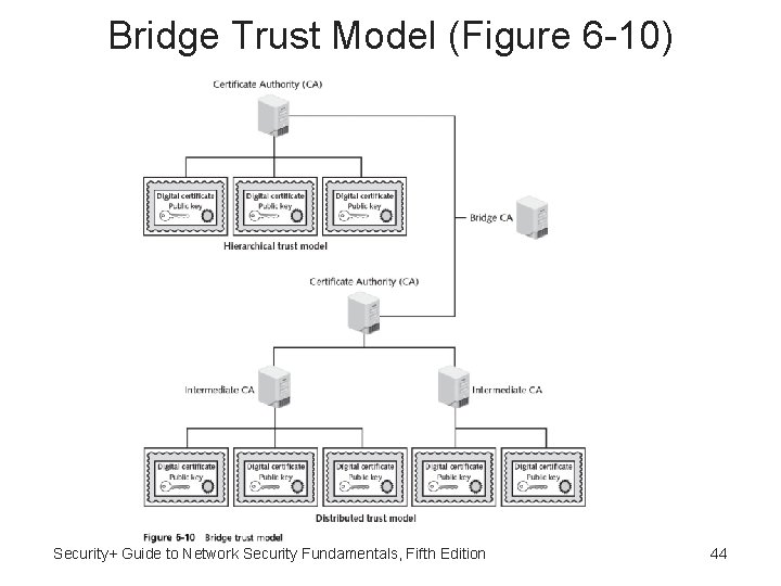 Bridge Trust Model (Figure 6 -10) Security+ Guide to Network Security Fundamentals, Fifth Edition