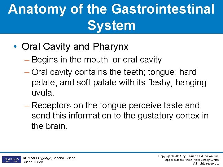 Anatomy of the Gastrointestinal System • Oral Cavity and Pharynx – Begins in the