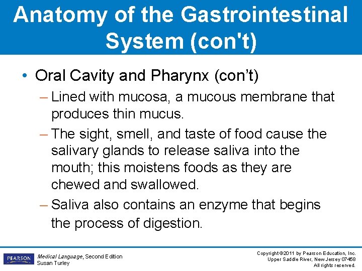 Anatomy of the Gastrointestinal System (con't) • Oral Cavity and Pharynx (con’t) – Lined