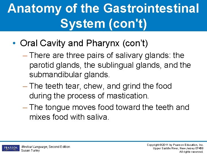 Anatomy of the Gastrointestinal System (con't) • Oral Cavity and Pharynx (con’t) – There