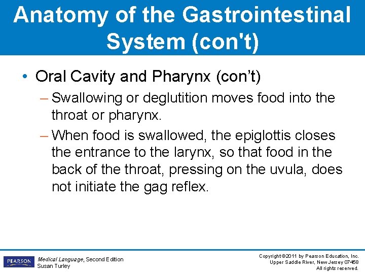 Anatomy of the Gastrointestinal System (con't) • Oral Cavity and Pharynx (con’t) – Swallowing