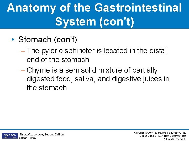 Anatomy of the Gastrointestinal System (con't) • Stomach (con’t) – The pyloric sphincter is