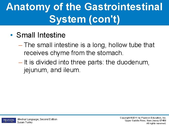 Anatomy of the Gastrointestinal System (con't) • Small Intestine – The small intestine is