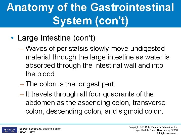 Anatomy of the Gastrointestinal System (con't) • Large Intestine (con’t) – Waves of peristalsis