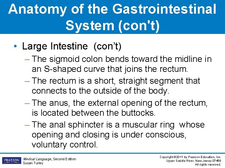 Anatomy of the Gastrointestinal System (con't) • Large Intestine (con’t) – The sigmoid colon