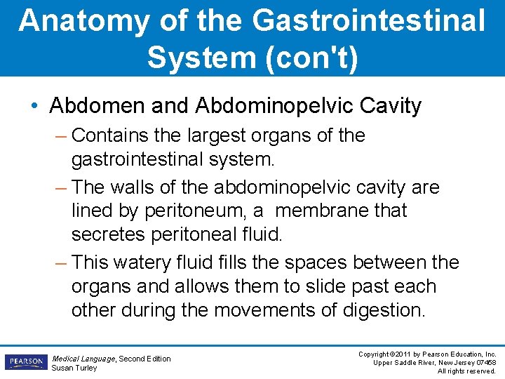 Anatomy of the Gastrointestinal System (con't) • Abdomen and Abdominopelvic Cavity – Contains the