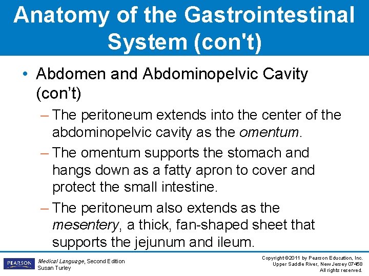 Anatomy of the Gastrointestinal System (con't) • Abdomen and Abdominopelvic Cavity (con’t) – The