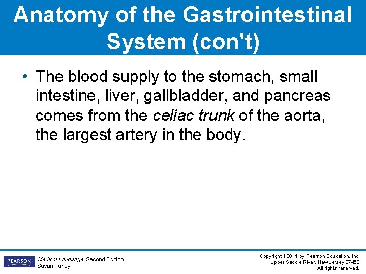 Anatomy of the Gastrointestinal System (con't) • The blood supply to the stomach, small