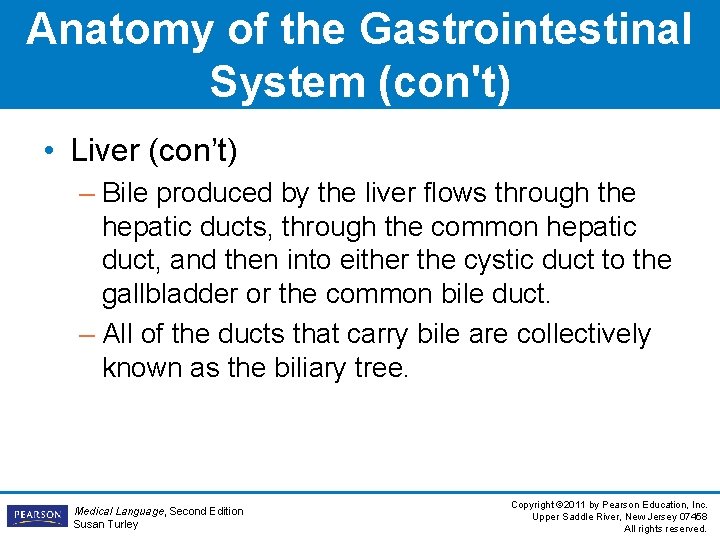 Anatomy of the Gastrointestinal System (con't) • Liver (con’t) – Bile produced by the