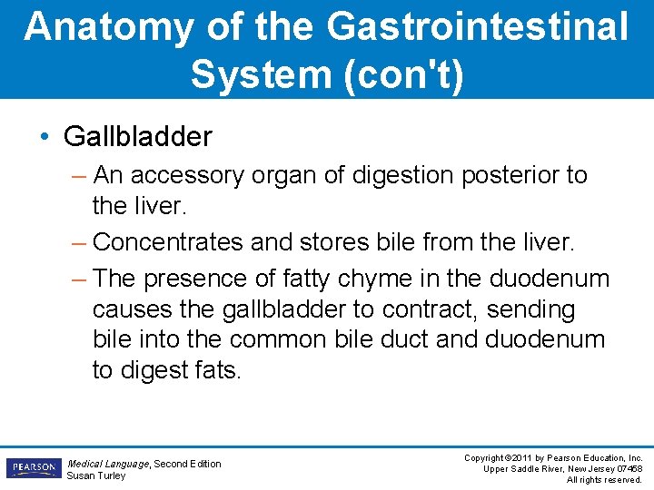 Anatomy of the Gastrointestinal System (con't) • Gallbladder – An accessory organ of digestion