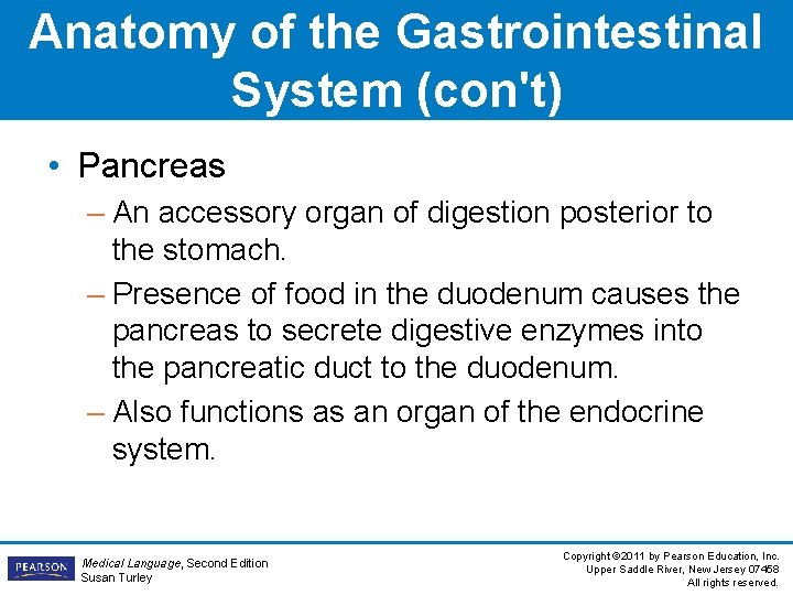 Anatomy of the Gastrointestinal System (con't) • Pancreas – An accessory organ of digestion