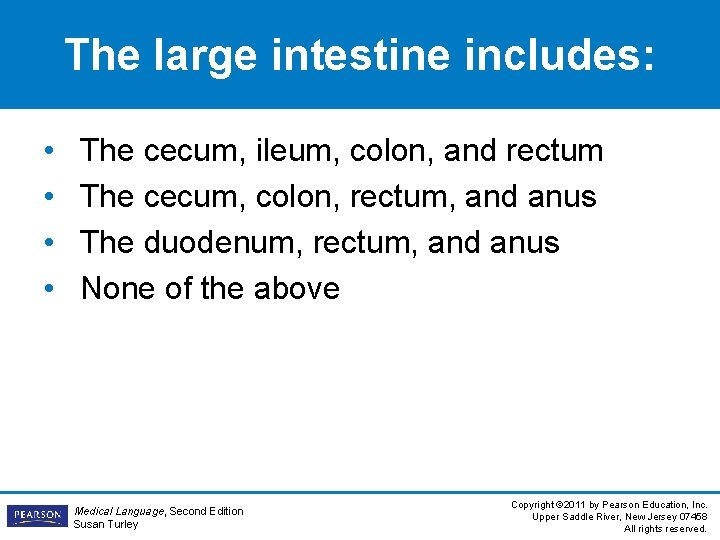 The large intestine includes: • • The cecum, ileum, colon, and rectum The cecum,