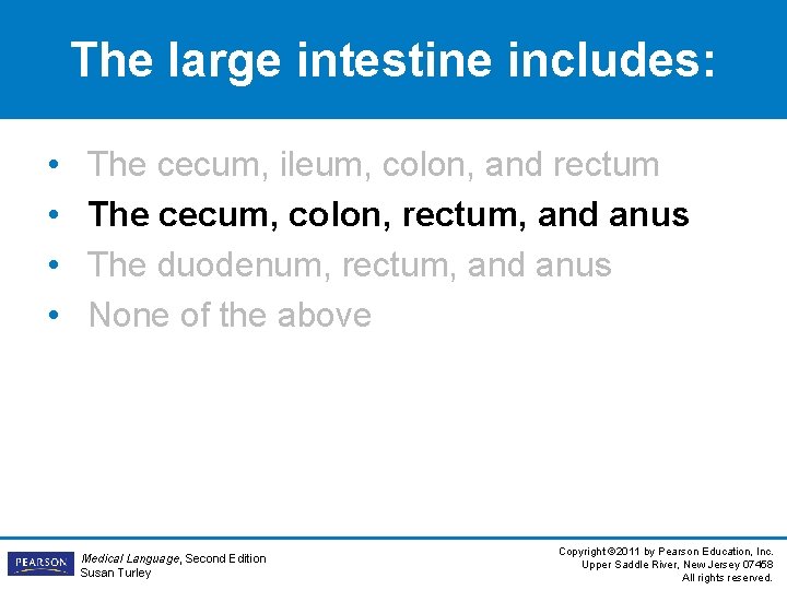 The large intestine includes: • • The cecum, ileum, colon, and rectum The cecum,