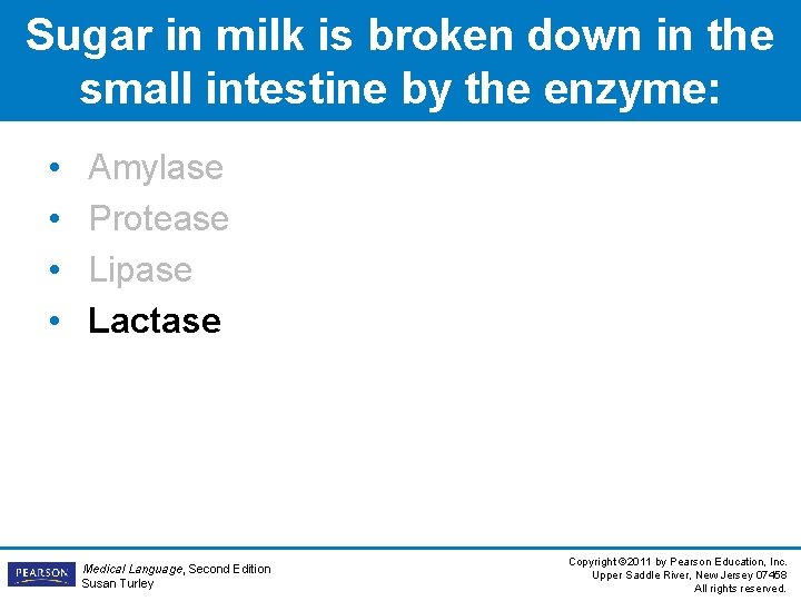 Sugar in milk is broken down in the small intestine by the enzyme: •