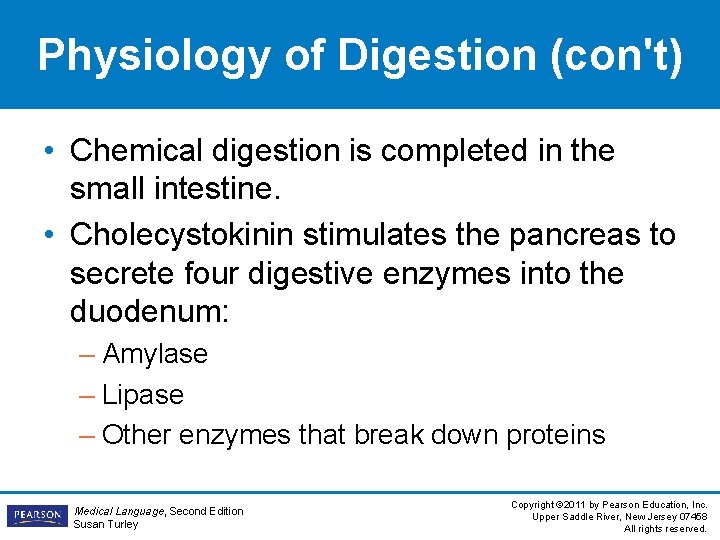 Physiology of Digestion (con't) • Chemical digestion is completed in the small intestine. •