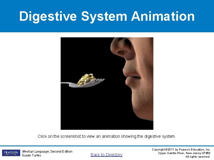 Digestive System Animation Click on the screenshot to view an animation showing the digestive