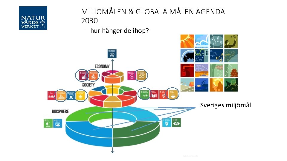 MILJÖMÅLEN & GLOBALA MÅLEN AGENDA 2030 – hur hänger de ihop? Sveriges miljömål 