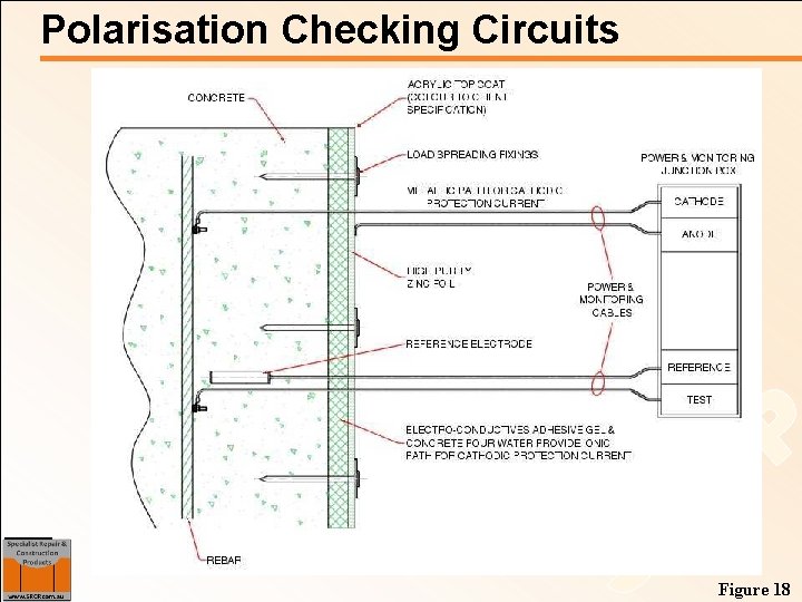 Polarisation Checking Circuits C BCRC R P Figure 18 