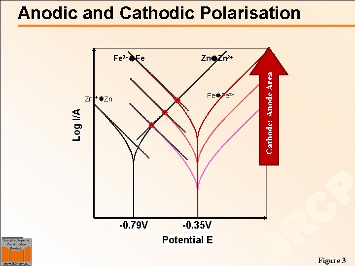 Anodic and Cathodic Polarisation Zn Zn 2+ Fe Fe 2+ Log I/A Zn 2+