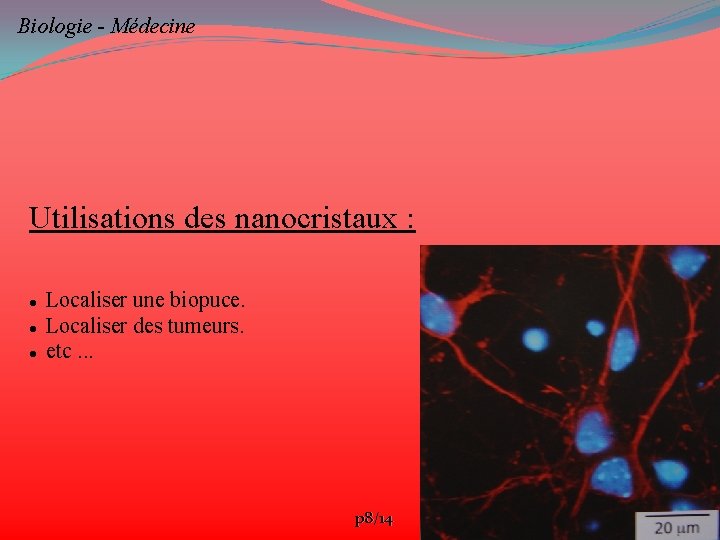 Biologie - Médecine Utilisations des nanocristaux : Localiser une biopuce. Localiser des tumeurs. etc.