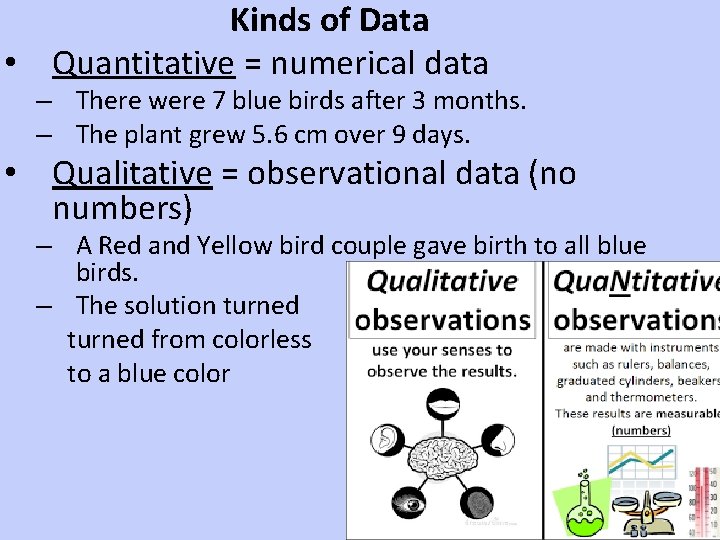 Kinds of Data • Quantitative = numerical data – There were 7 blue birds