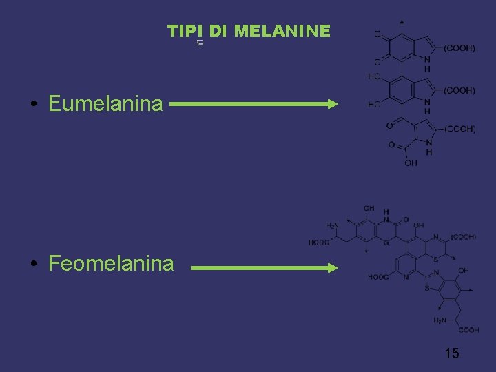 TIPI DI MELANINE • Eumelanina • Feomelanina 15 