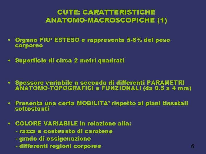 CUTE: CARATTERISTICHE ANATOMO-MACROSCOPICHE (1) • Organo PIU’ ESTESO e rappresenta 5 -6% del peso