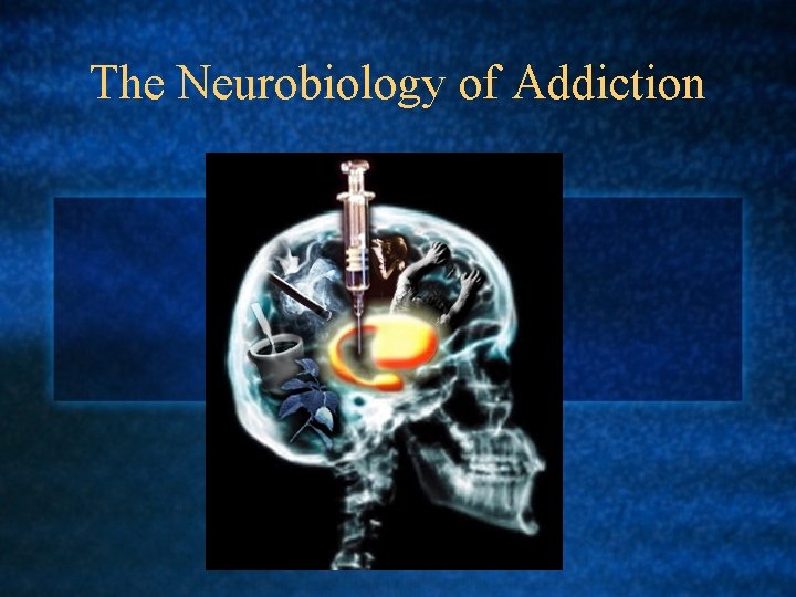 The Neurobiology of Addiction 