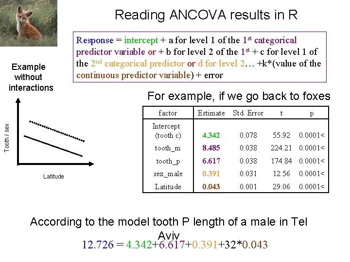 Reading ANCOVA results in R Tooth / sex Example without interactions Latitude Response =