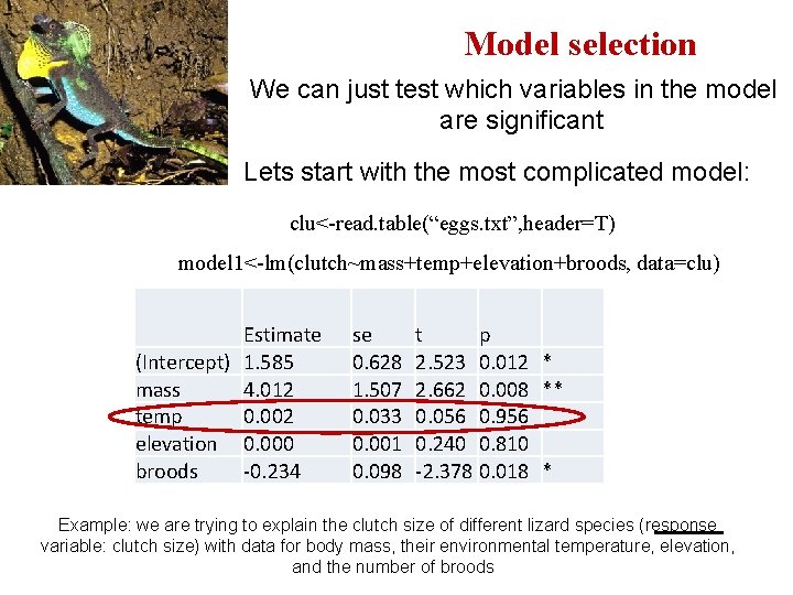Model selection We can just test which variables in the model are significant Lets Model selection We can just test which variables in the model are significant Lets