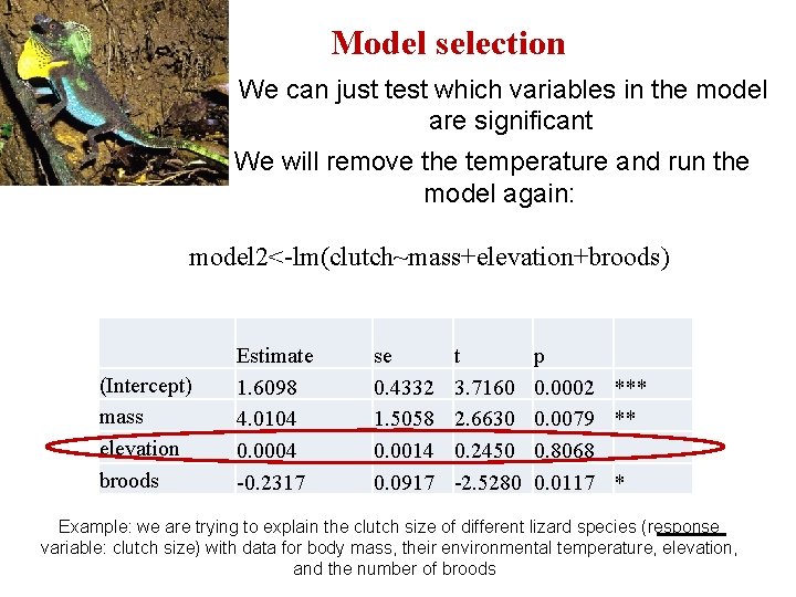 Model selection We can just test which variables in the model are significant We