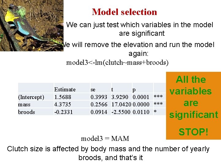 Model selection We can just test which variables in the model are significant We