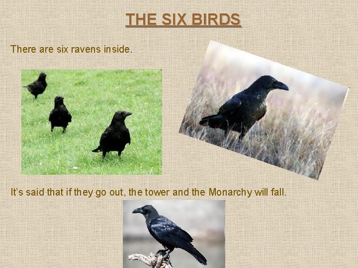 THE SIX BIRDS There are six ravens inside. It’s said that if they go