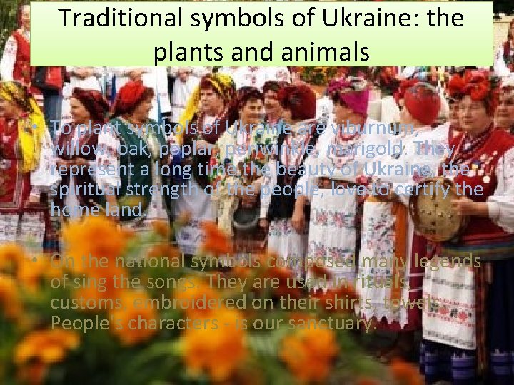 Traditional symbols of Ukraine: the plants and animals • To plant symbols of Ukraine