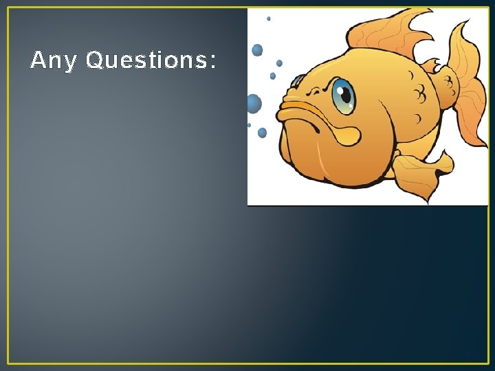 Any Questions: 