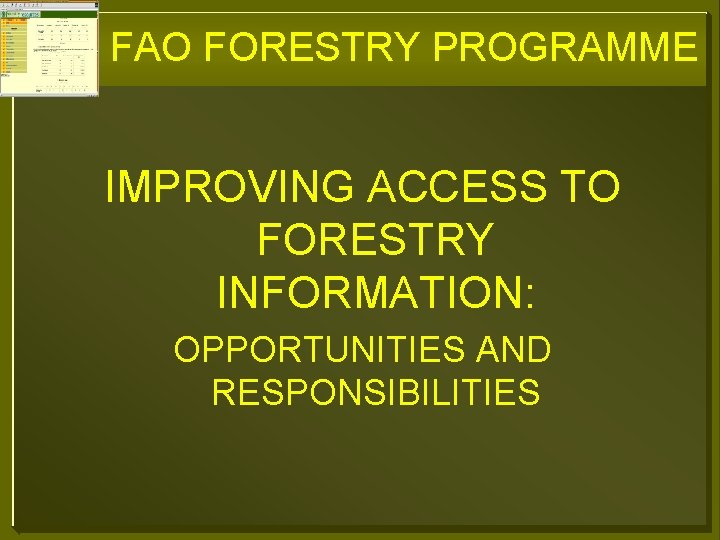 FAO FORESTRY PROGRAMME IMPROVING ACCESS TO FORESTRY INFORMATION: OPPORTUNITIES AND RESPONSIBILITIES 