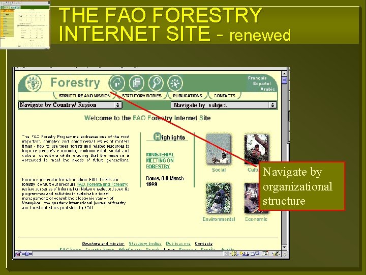 THE FAO FORESTRY INTERNET SITE - renewed Navigate by organizational structure 