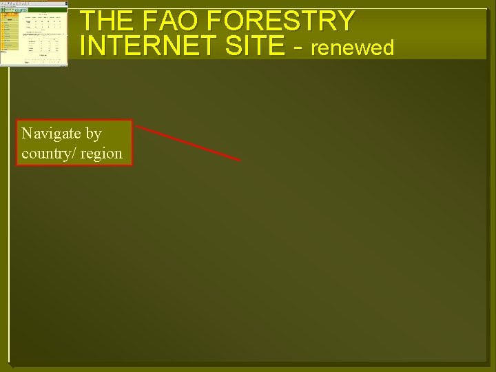 THE FAO FORESTRY INTERNET SITE - renewed Navigate by country/ region 