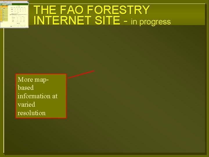 THE FAO FORESTRY INTERNET SITE - in progress More mapbased information at varied resolution